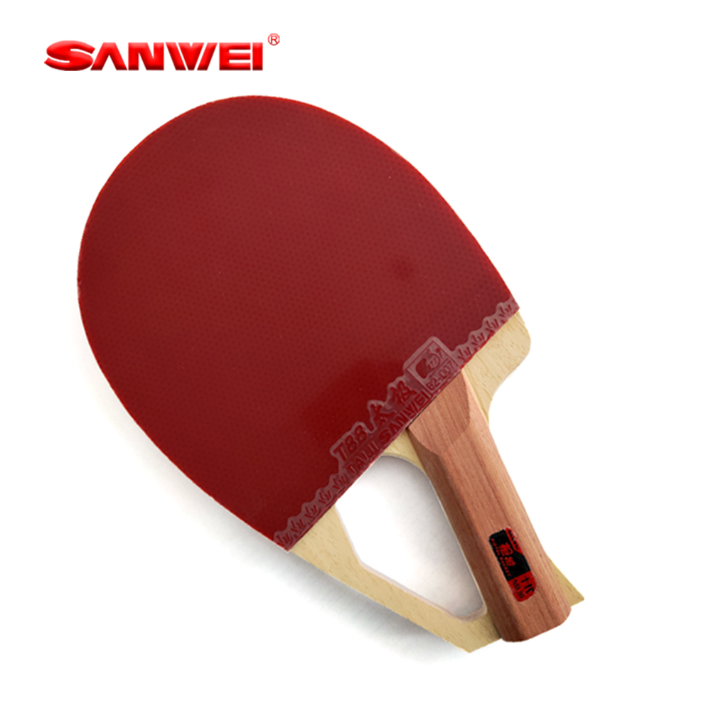 Table Tennis Blades - Raquette de tennis de table originale
